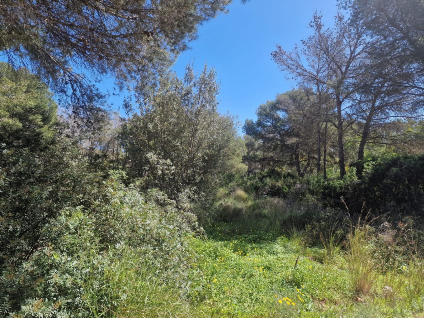 Terreno en venta de 1000 m² en La Cala, Jávea, Alicante
