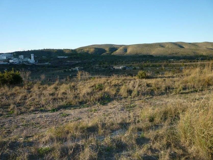 Rural land for sale in Benissa, Costa Blanca, Spain
