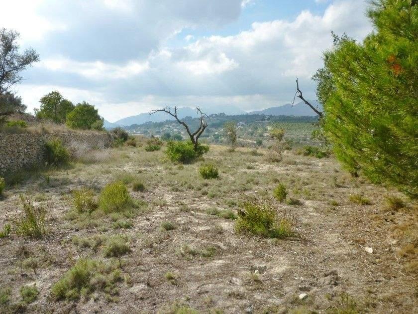 Rural land for sale in Benissa, Costa Blanca, Spain