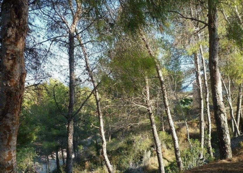 Grundstück zum Verkauf, Benissa, Costa Blanca, Spanien, Meerblick