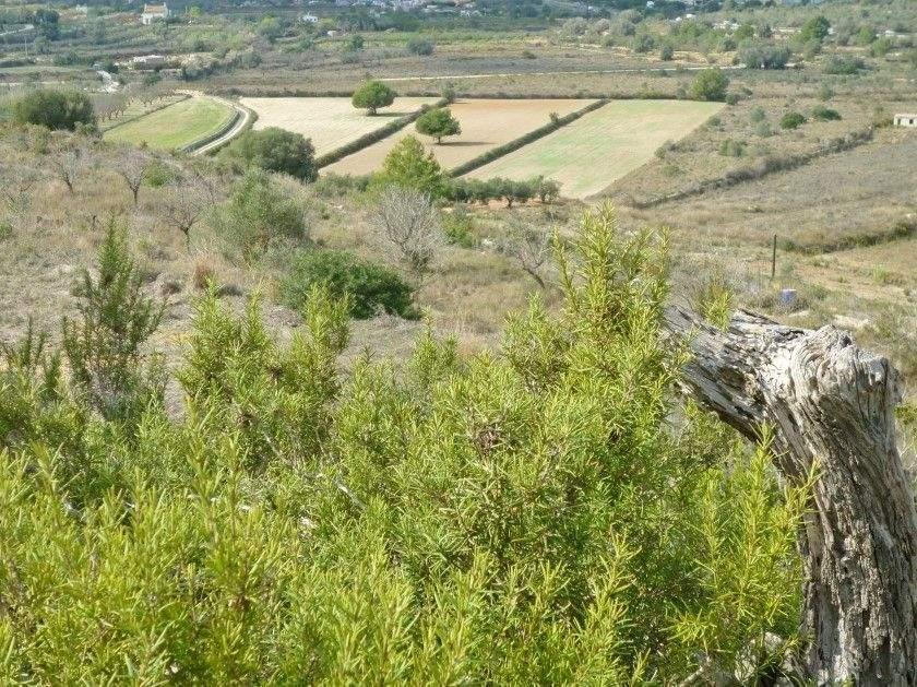 Rural land for sale in Benissa, Costa Blanca, Spain