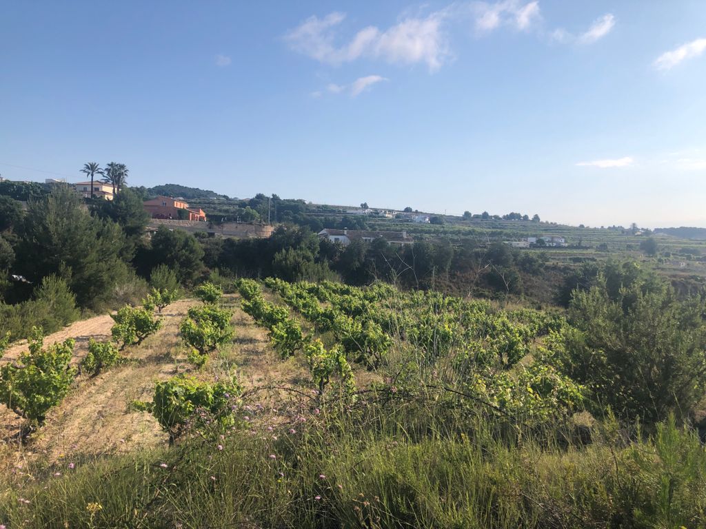 Terreno rustico en venta, Benimarco, Teulada, Costa Blanca