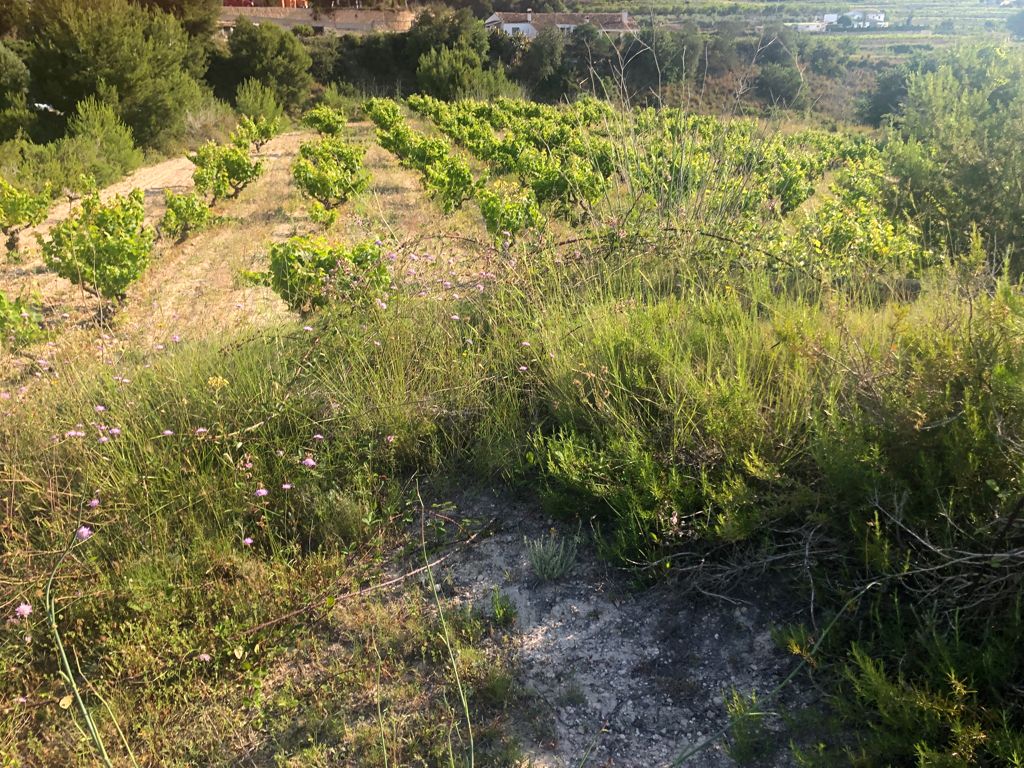Terreno rustico en venta, Benimarco, Teulada, Costa Blanca