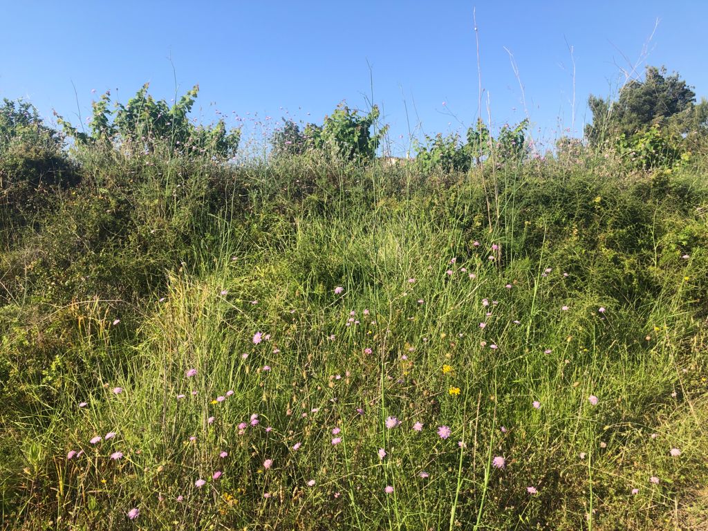 Terreno rustico en venta, Benimarco, Teulada, Costa Blanca