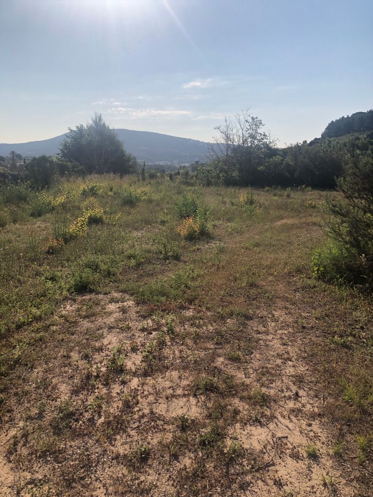 Terreno rustico en venta, Benimarco, Teulada, Costa Blanca