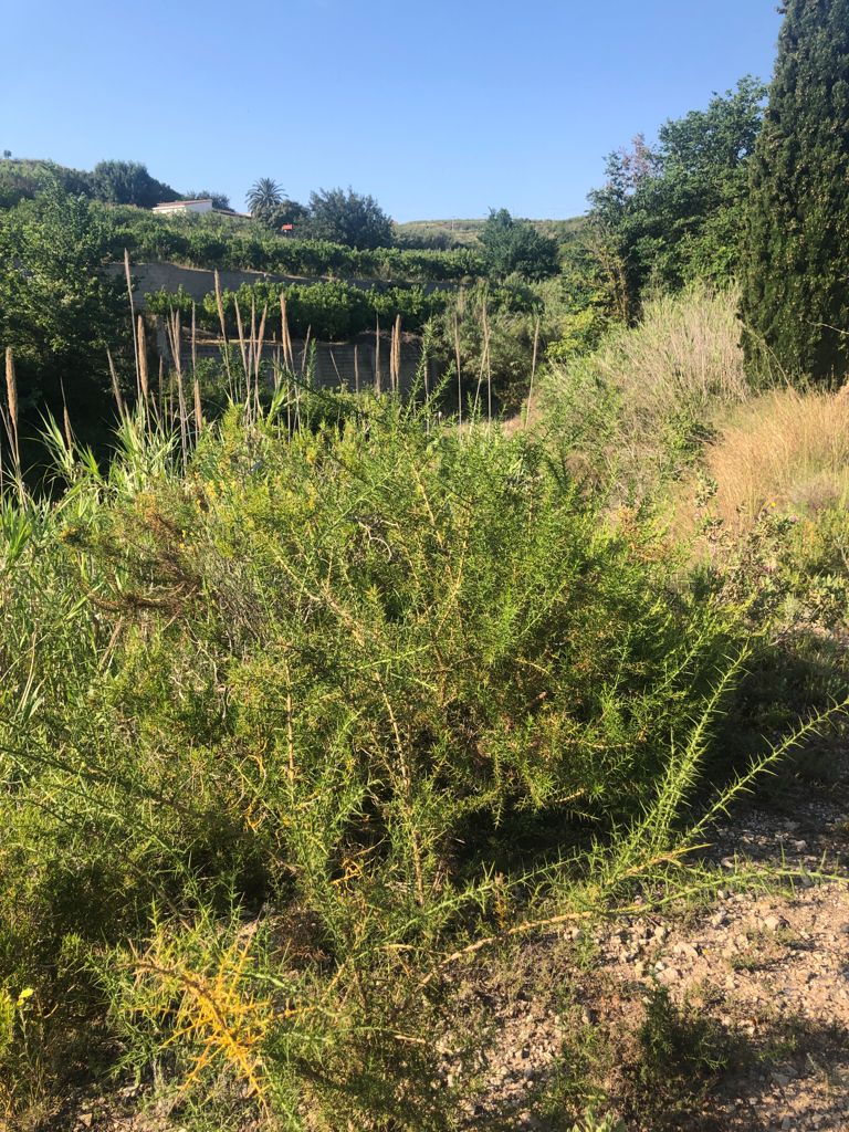 Terreno rustico en venta, Benimarco, Teulada, Costa Blanca