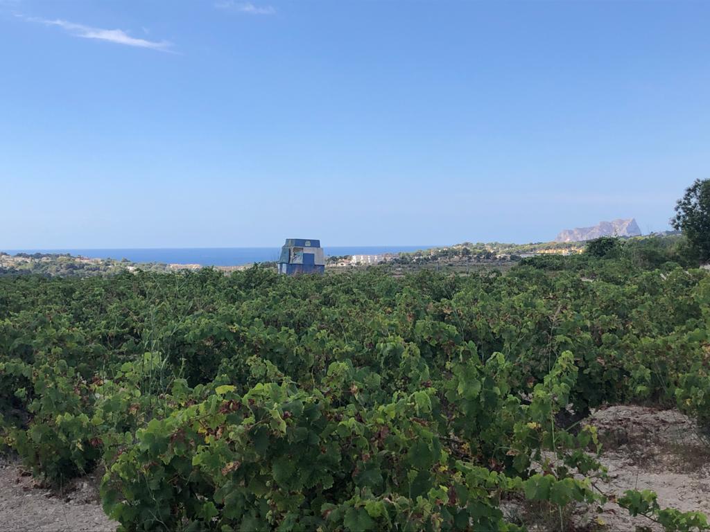 Terreno rustico, en venta, Moraira, Costa Blanca, vistas al mar